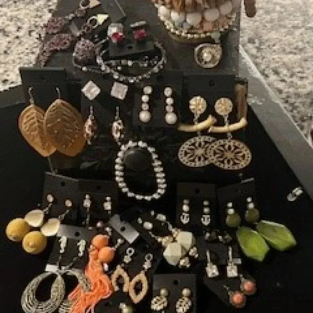 Multi Animal print Mixed Jewelry Bundle EARRINGS. RINGS. BRACELETS.